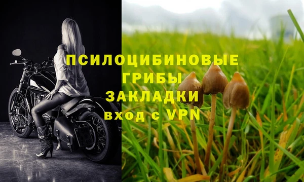 кокаин перу Богородицк