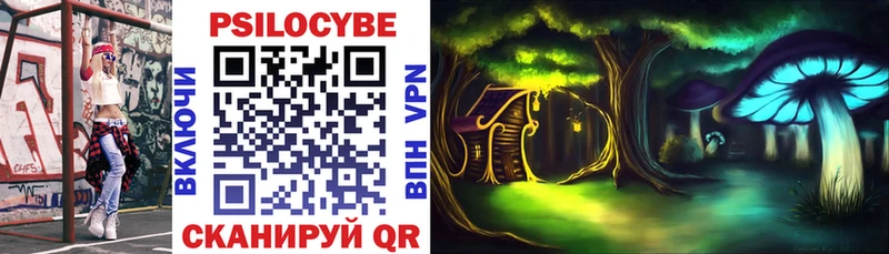MEGA как войти  Новозыбков  Галлюциногенные грибы Psilocybe  дарнет шоп 